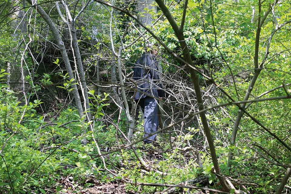 A photograph of a heavily wooded area with a clothed figure at distance, mostly obscured by growth
